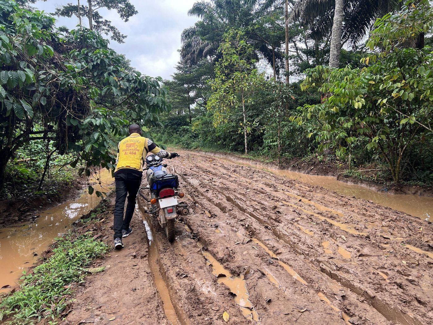Ebola Epidemie in Guinea
